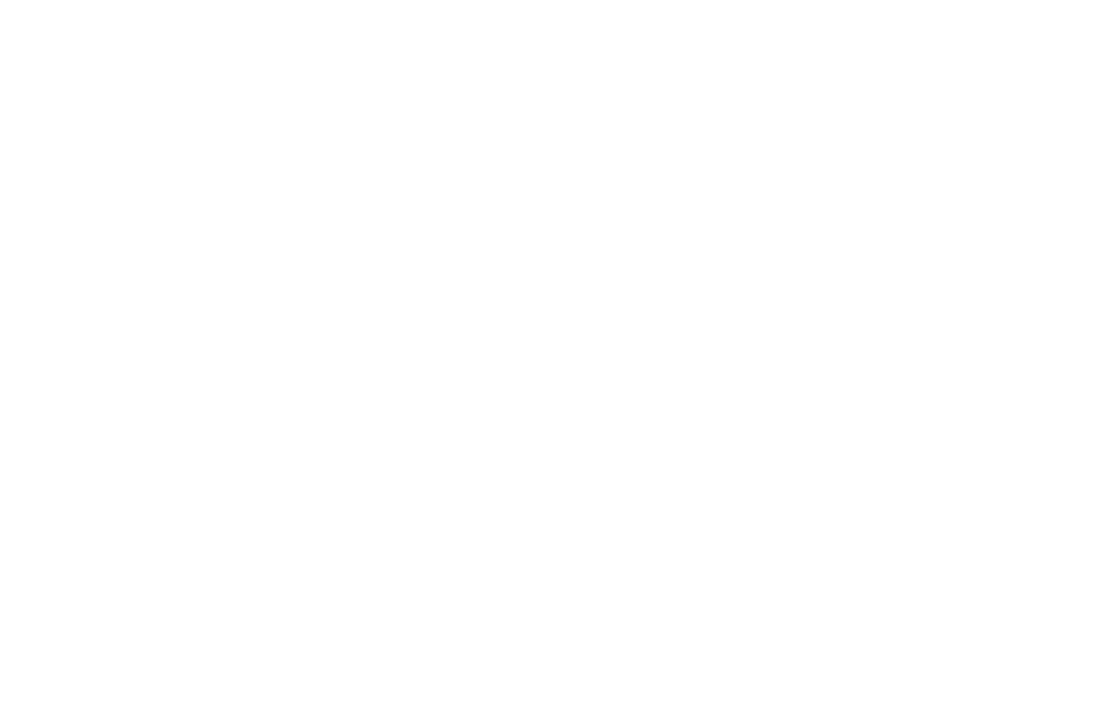 Visit Idaho Grant Logo