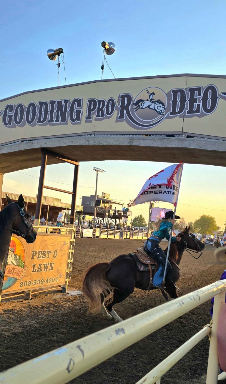 Gooding Pro Rodeo, Gooding
