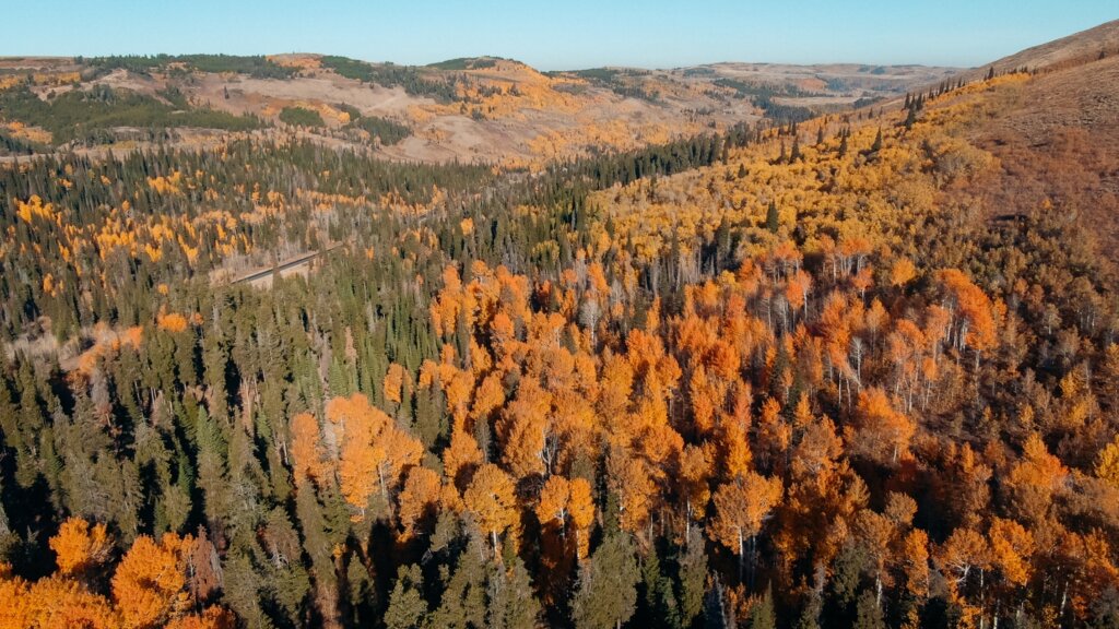 South Hills in Sawtooth National Forest, near Twin Falls and Kimberly